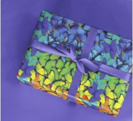 PAPEL PRESENTE VGESSELE C/10 FOLHAS BORBOLETAS COLORIDAS 234