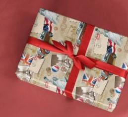 PAPEL PRESENTE VGESSELE C/10 FOLHAS TRAVEL 240