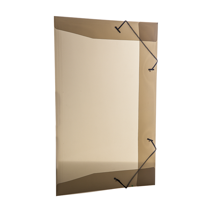 PASTA DELLO LINE ABA COM ELASTICO OFICIO FUME 0254.I