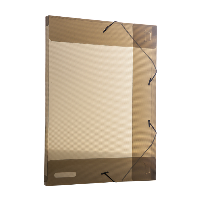 PASTA DELLO ABA COM ELASTICO OFICIO 2CM FUME 0255.I