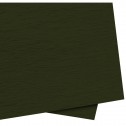PAPEL CREPOM NOVAPRINT MAIS COMUM 48X2M VERDE MUSGO