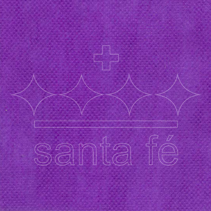 T.N.T 100X140 SANTA FE VIOLETA