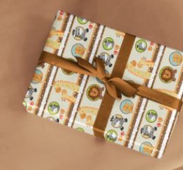 PAPEL PRESENTE VGESSELE C/10 FOLHAS AFRICA 156