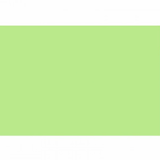 CARTOLINA BIGNARDI MILLENIUM 120G 50X66 VERDE