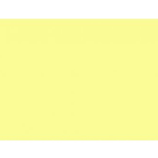 CARTOLINA BIGNARDI MILLENIUM 120G 50X66 AMARELA