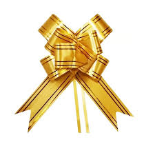 LACO PRONTO SOLIDER 15X27 SORTIDO 1038