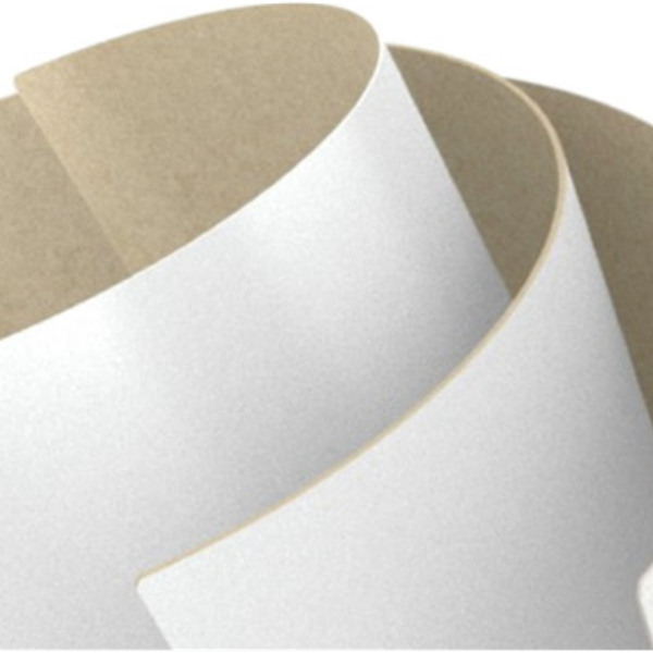 PAPEL DUPLEX BAHIA MASTER BRILH C/20 PRA