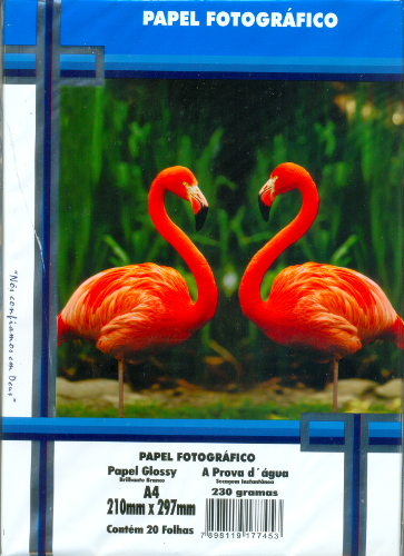 PAPEL FOTO A4 230G MASTERPRINT COM 20FLS