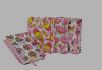 AGENDA WIN PAPER 352PG PPA621173