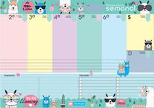 SABONETE LIQUIDO VIS NATIVA ROSAS 1LT