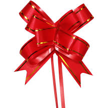 LACO FACIL GALA 4,5X72 SORTIDO 2589