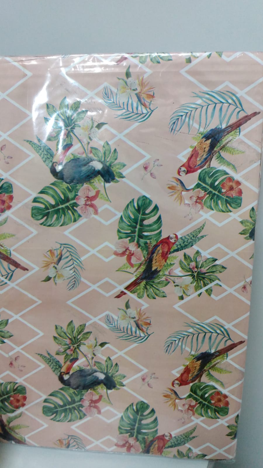 SACO CG PACK 20X30 C/50 SORTIDO