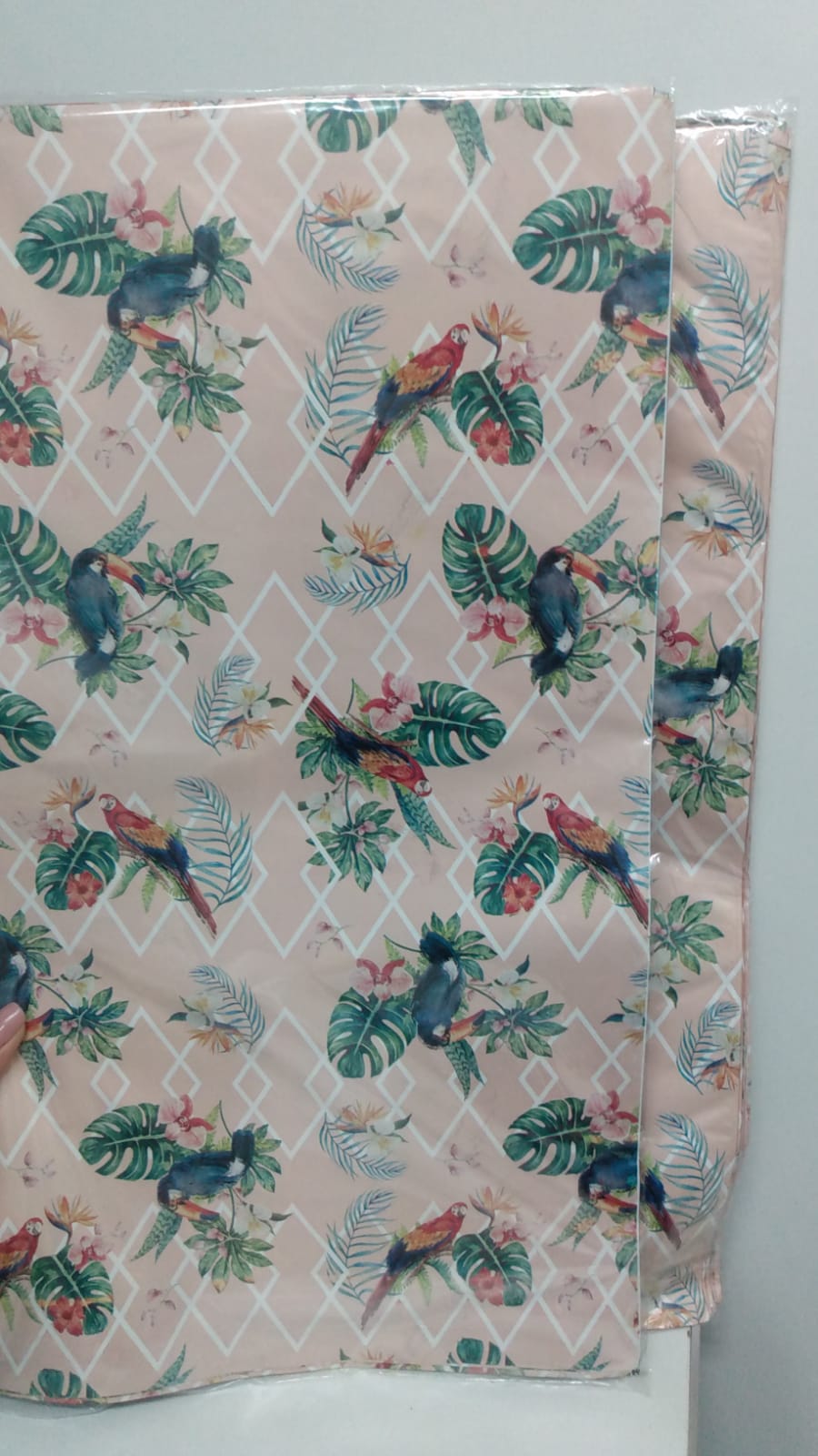 SACO CG PACK 45X60 C/50 SORTIDO