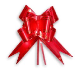 LACO FACIL MAKE+ 11X20,5CM C/10 VERMELHO COM FILETE DOURADO