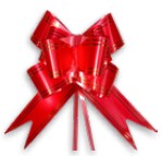 LACO FACIL MAKE+ 17X34CM C/10 VERMELHO COM FILETE DOURADO