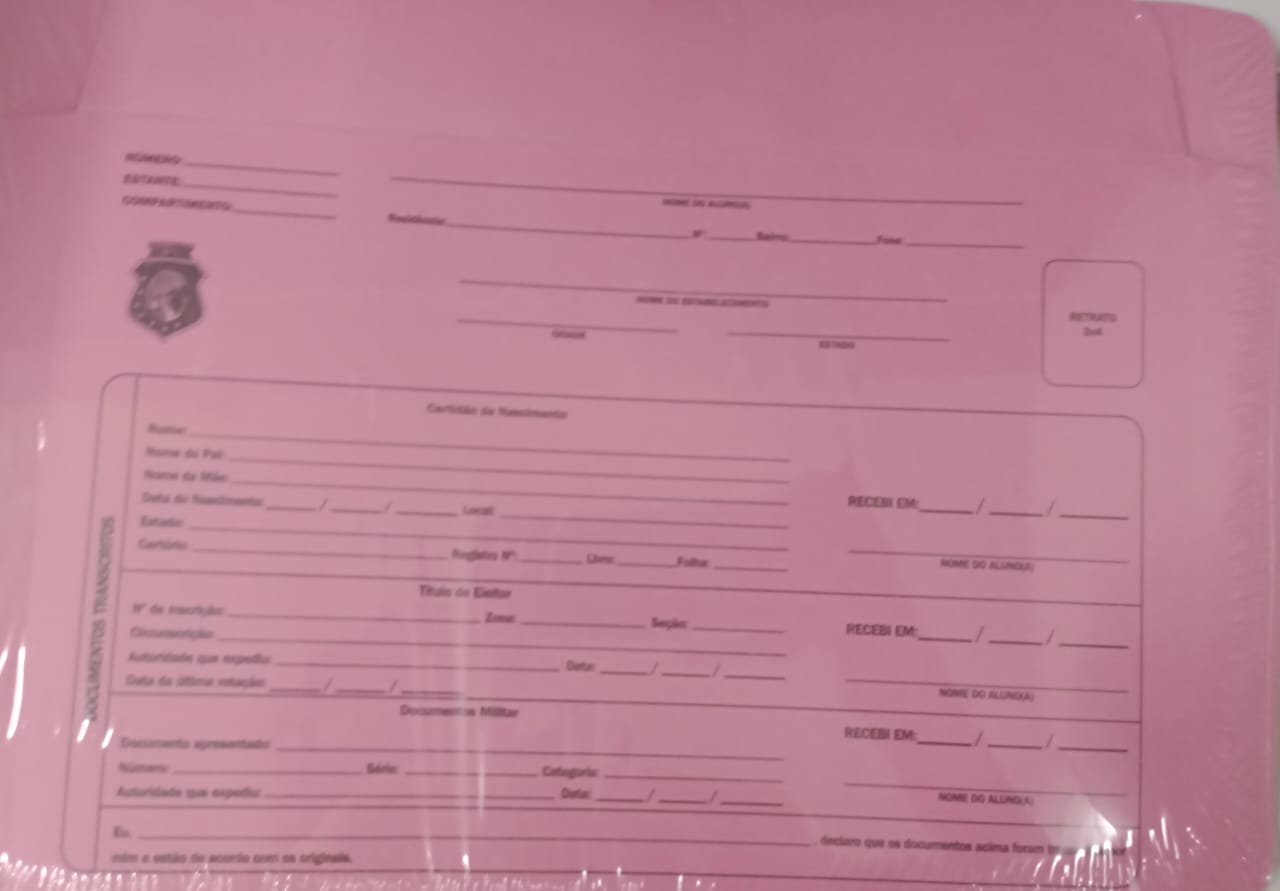 PASTA PARA MATRICULA FILIPERSON ROSA