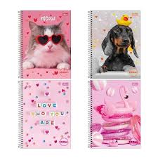 CADERNO TILIBRA 1 MATERIA 96 FOLHAS CD UNIV FEMININO SORTIDOS