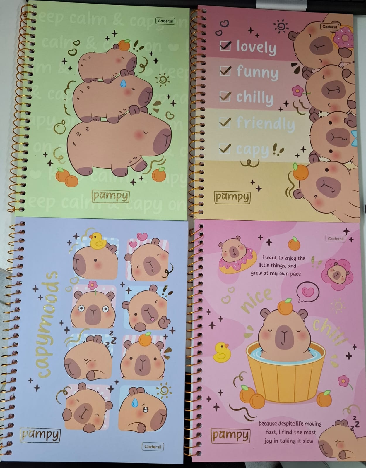 CADERNO CADERSIL 1.1 80 FOLHAS PAMPY SORTIDOS