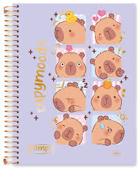 CADERNO CADERSIL 10.1 160 FOLHAS PAMPY SORTIDOS
