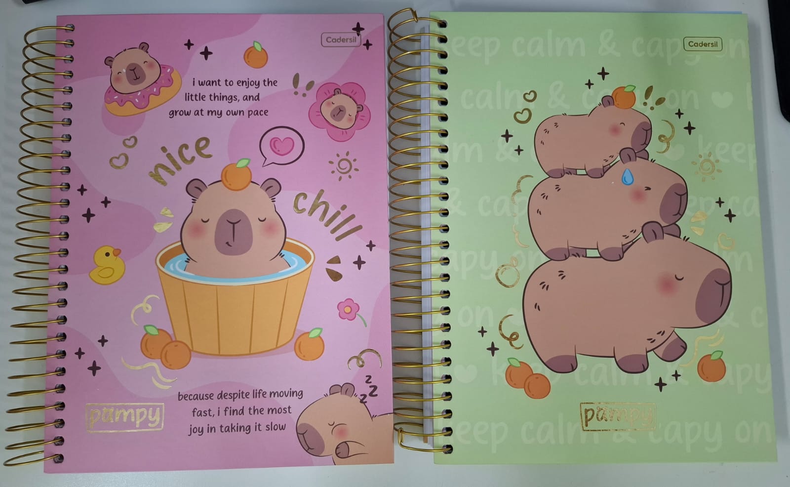 CADERNO CADERSIL 20.1 320 FOLHAS PAMPY SORTIDOS