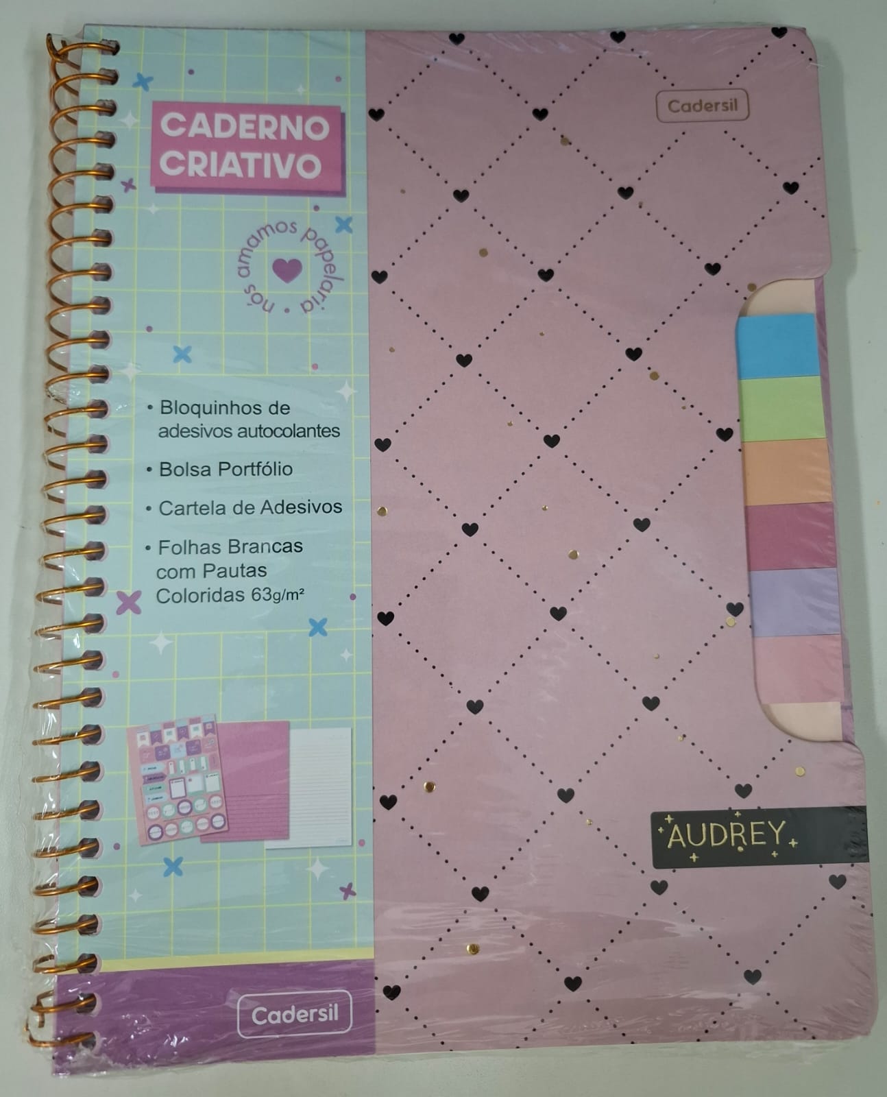 CADERNO CADERSIL CRIATIVO 80 FOLHAS AUDREY BLOQUINHOS DE ADESIVOS AUTOCOLANTES BOLSA PORTFOLIO CARTELA DE ADESIVOS FOLHAS BRANCAS COM PAUTAS COLORIDAS