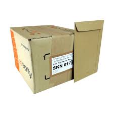 ENVELOPE SCRITY SKN 017 110X170 80G COM 250 UNIDADES