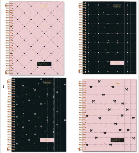 AGENDA CADERSIL ESP 176FLS AUDREY